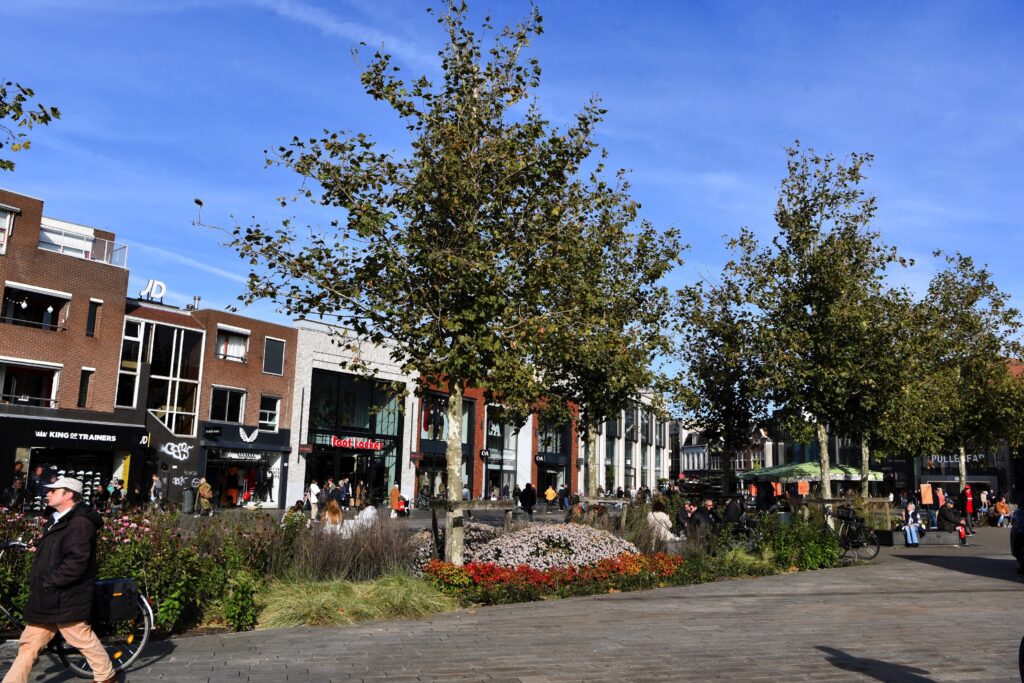 Detachering gemeente Enschede Hoogendoorn Boomadvies