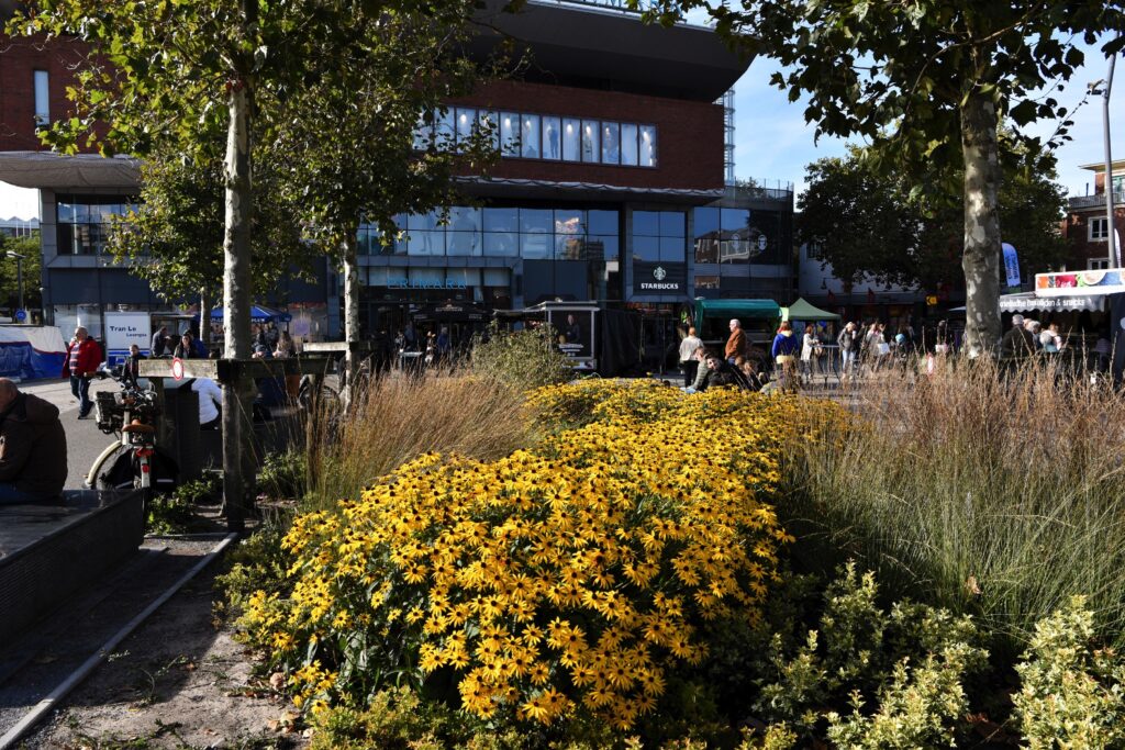 Detachering gemeente Enschede Hoogendoorn Boomadvies