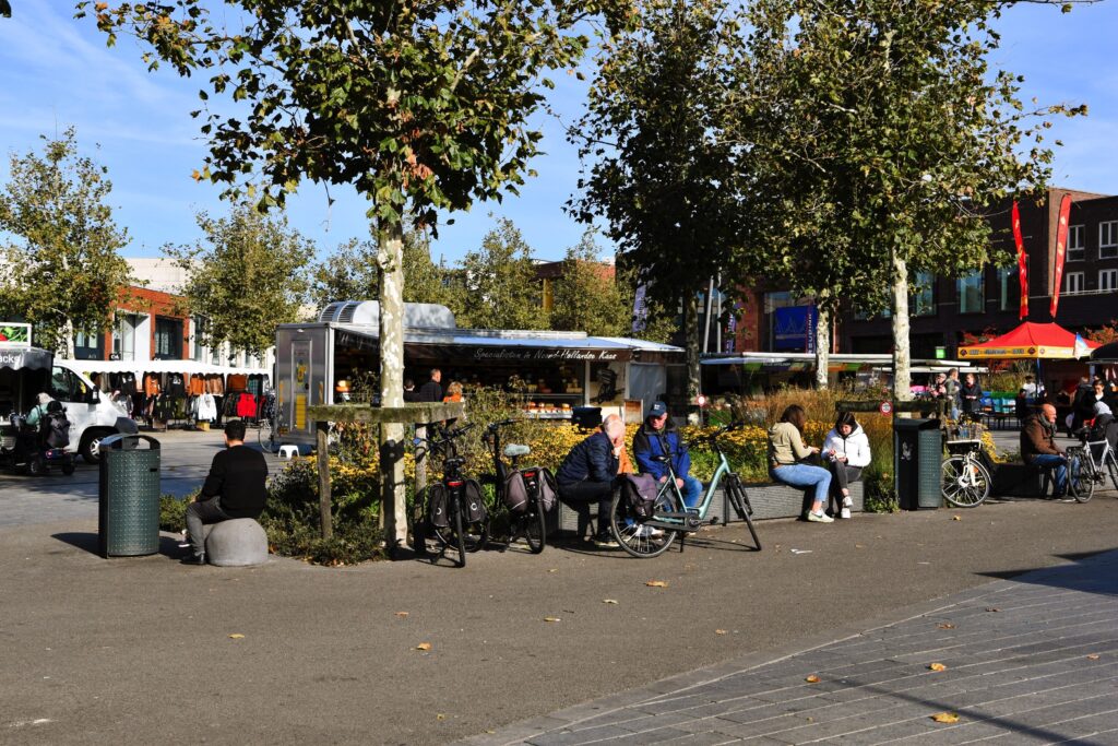 Detachering gemeente Enschede Hoogendoorn Boomadvies