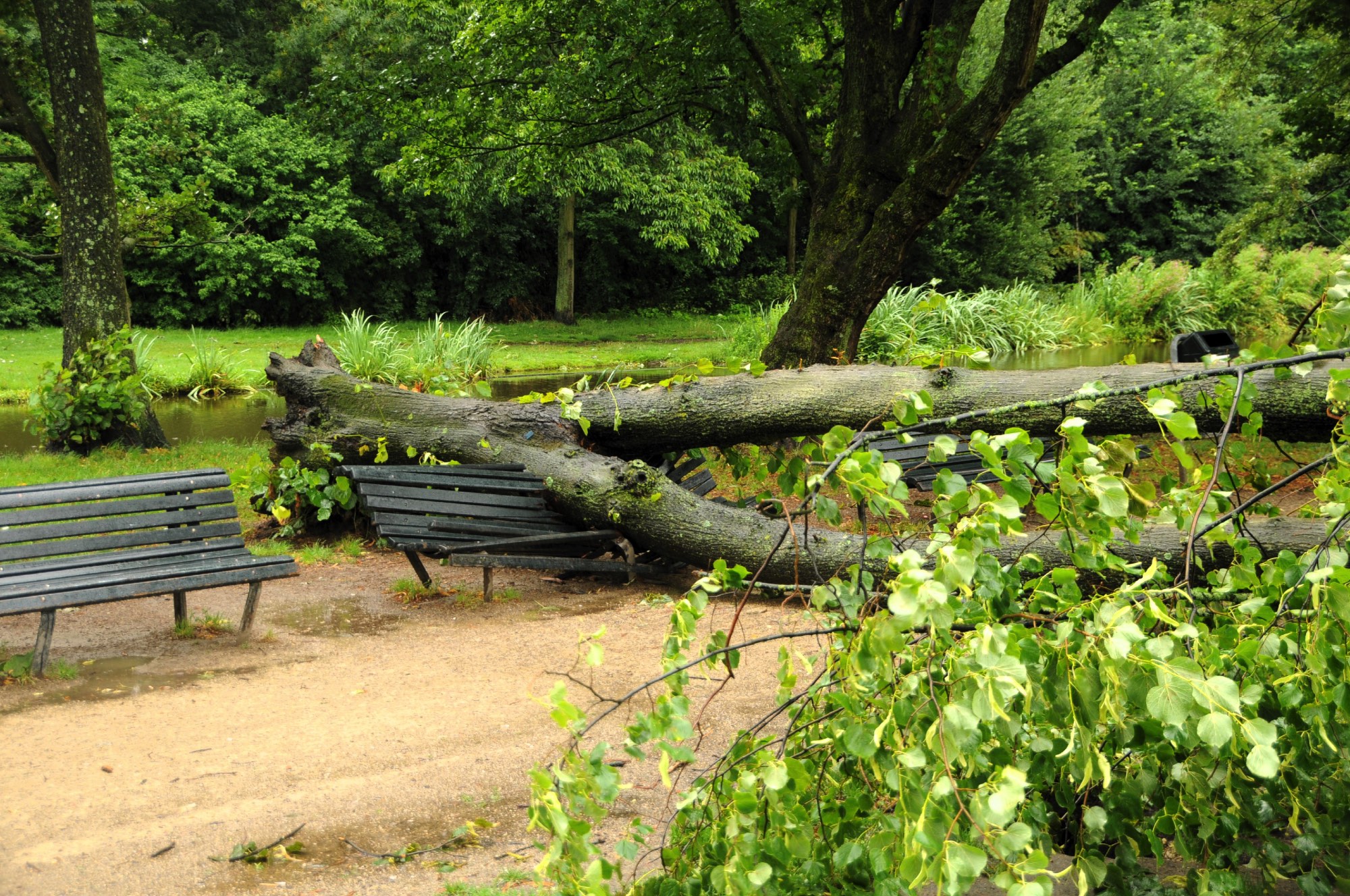 Hoogendoorn schade expertise_LR