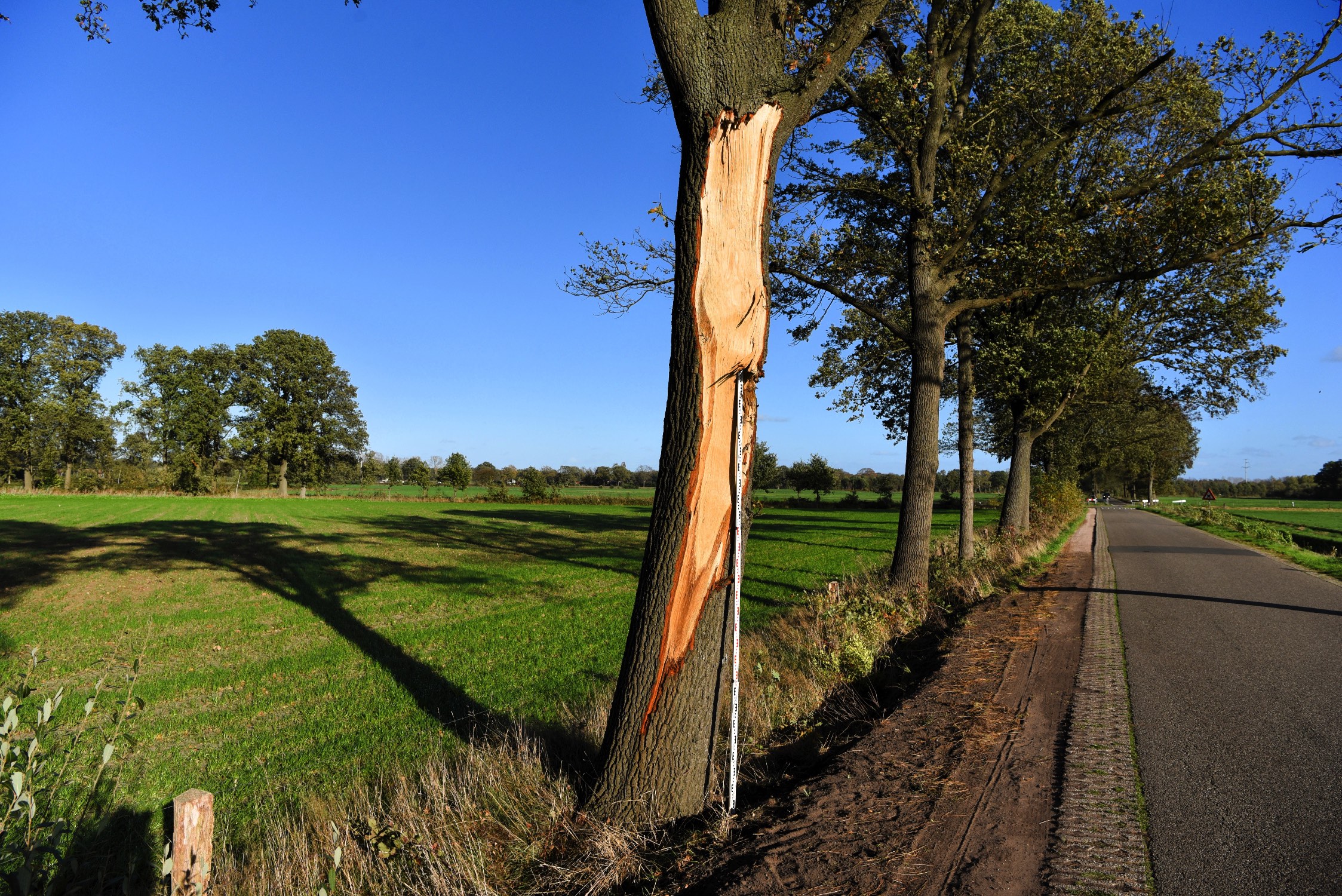 Hoogendoorn taxatie 034 221753 DSC_7559_LR
