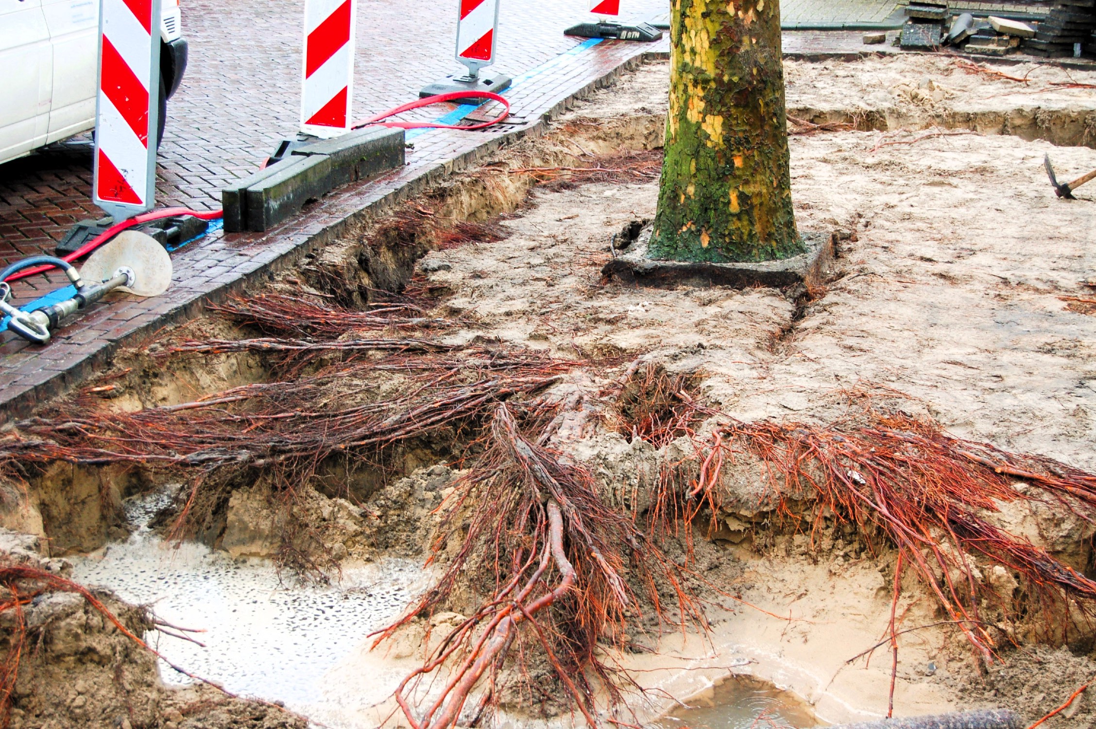 Hoogendoorn ontwerp 009 80101_LR
