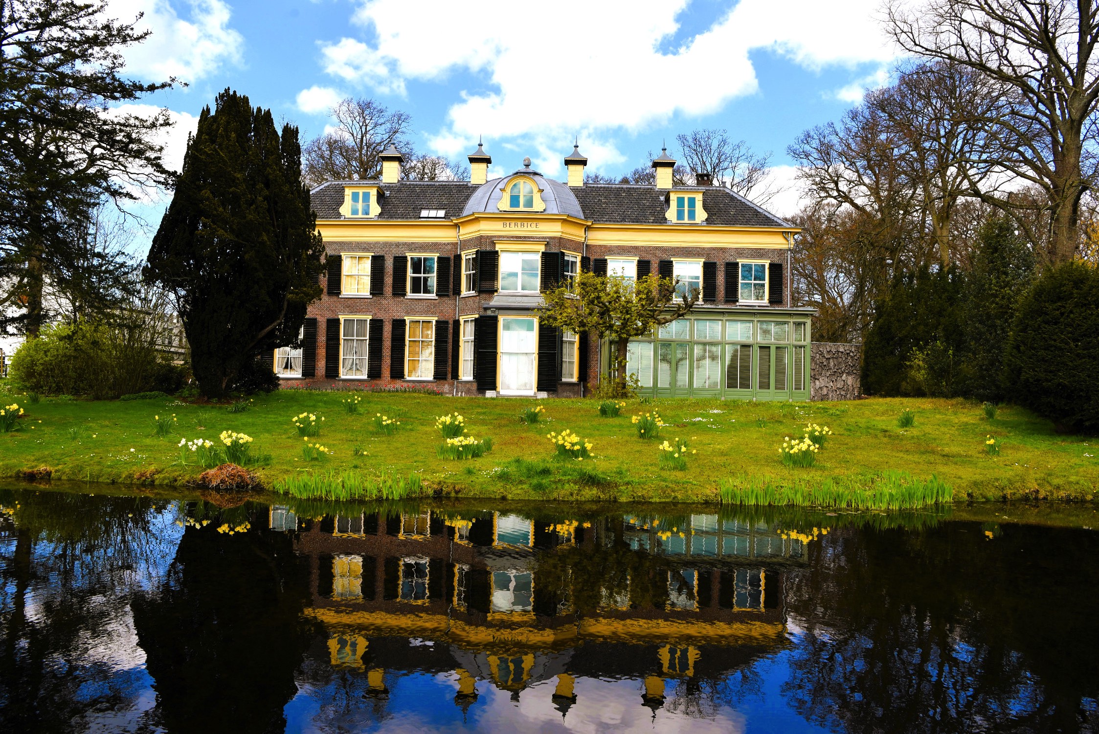 Hoogendoorn boomadvies 040 211594 DSC_7821_LR