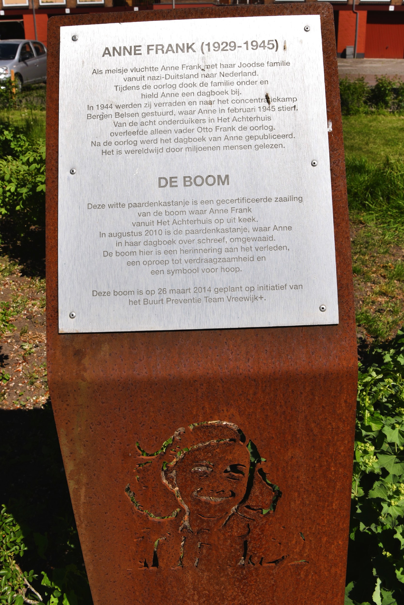 Anne Frank Boom Hoogendoorn Boomadvies
